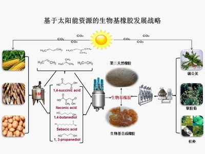 &ldquo;十三五&rdquo;國(guó)家重點(diǎn)研發(fā)計(jì)劃項(xiàng)目&ldquo;新型生物基橡膠材料制備技術(shù)與應(yīng)用示范&rdquo;順利通過(guò)項(xiàng)目綜合績(jī)效評(píng)價(jià)